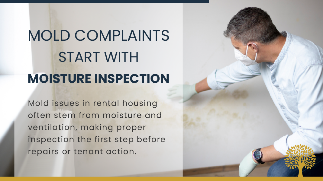 Sacramento Mold Complaints: What Landlords Should Do First